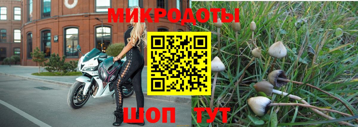Псилоцибиновые грибы мухоморы  Вход с VPN  Псилоцибиновые грибы Magic Shrooms  цены наркотик  Россия 